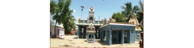 மேல் படப்பை